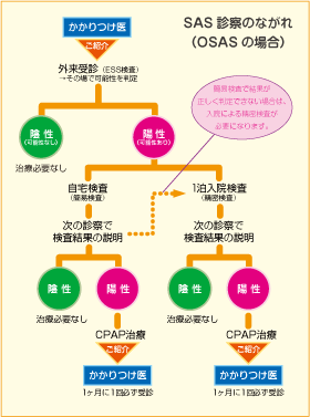 SAS診療のながれ