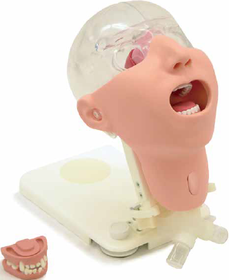 口腔ケアモデル アドバンスド